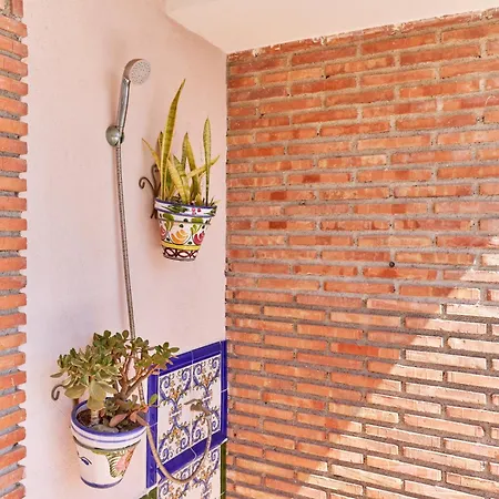 Terrazas Del Mediterraneo Apartment *